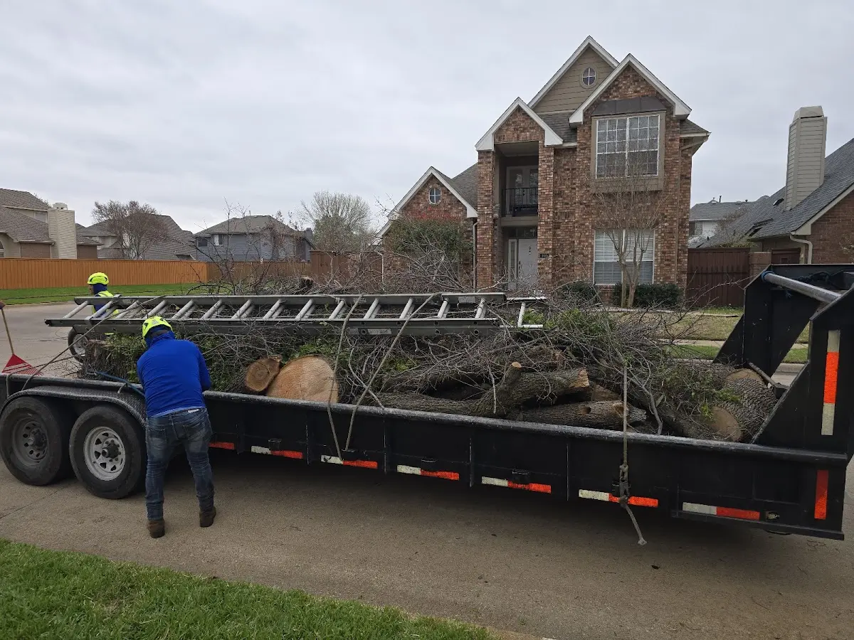 Expert Crown Reduction with proper safety equipment in Krotz Springs